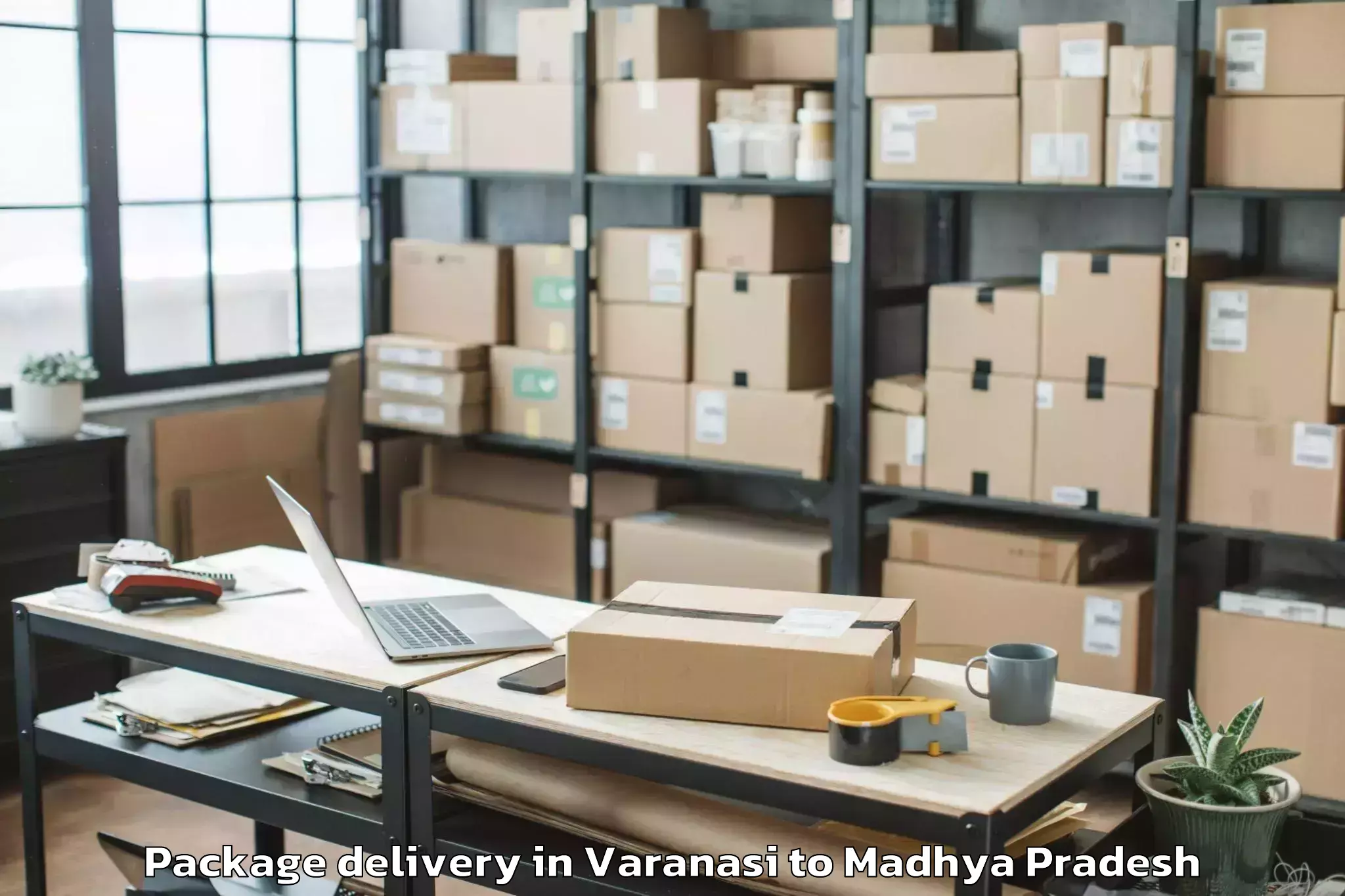 Get Varanasi to Parasia Package Delivery